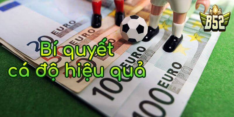 Một vài điều cần lưu ý khi chơi cá độ bóng đá qua mạng là gì